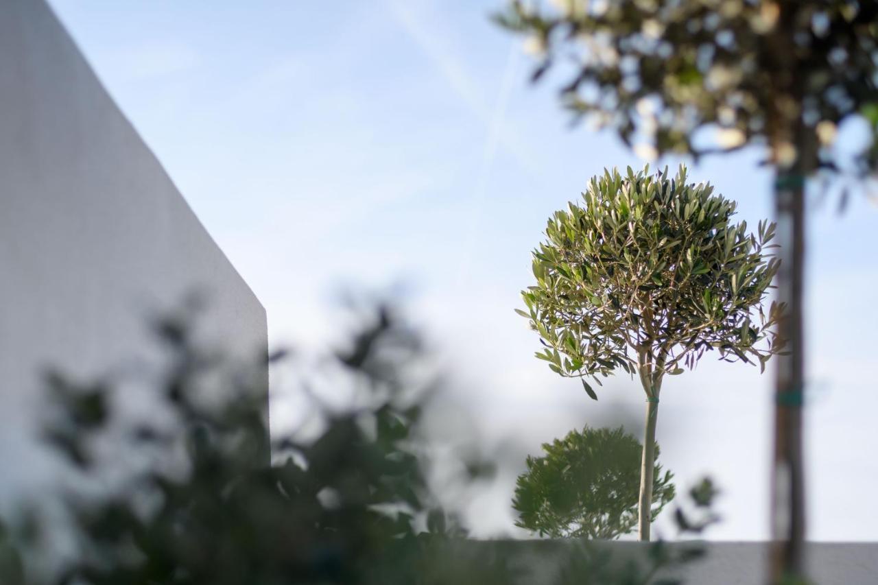 Potnia Theron Suites Akrotiri  Luaran gambar